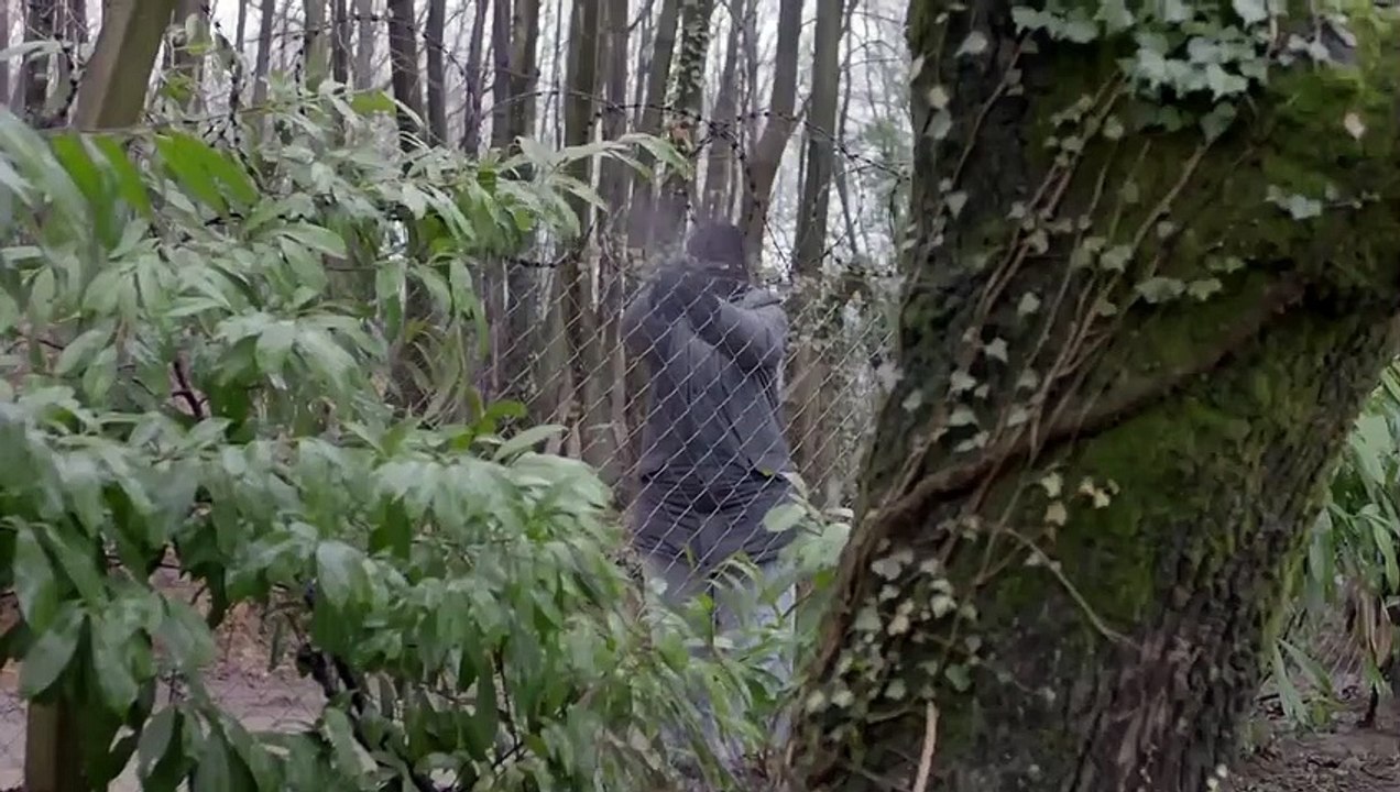 Cesur ve Güzel 19.Bölüm Fragmanı