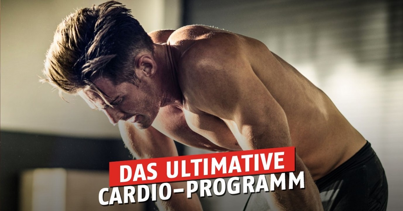 Cardio-Übungen: Das perfekte Programm für ein Wahnsinns-Herz-Kreislauf-System