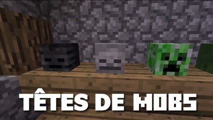 Minecraft : découvrez comment utiliser les têtes des mobs en mode survie !