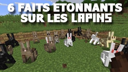 Minecraft : 6 faits surprenants sur les lapins !