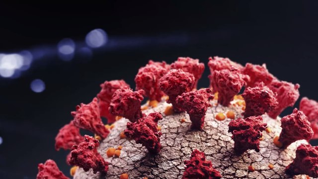 Covid-19 : l'infectiologue Karine Lacombe prédit plusieurs vagues sur un ou deux ans