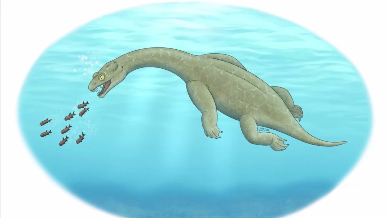 Découvrez le Brevicaudosaurus jiyangshanensis, un prédateur marin préhistorique qui peuplait la Terre il y a 240 millions d'années