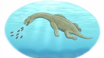 Découvrez le Brevicaudosaurus jiyangshanensis, un prédateur marin préhistorique qui peuplait la Terre il y a 240 millions d'années