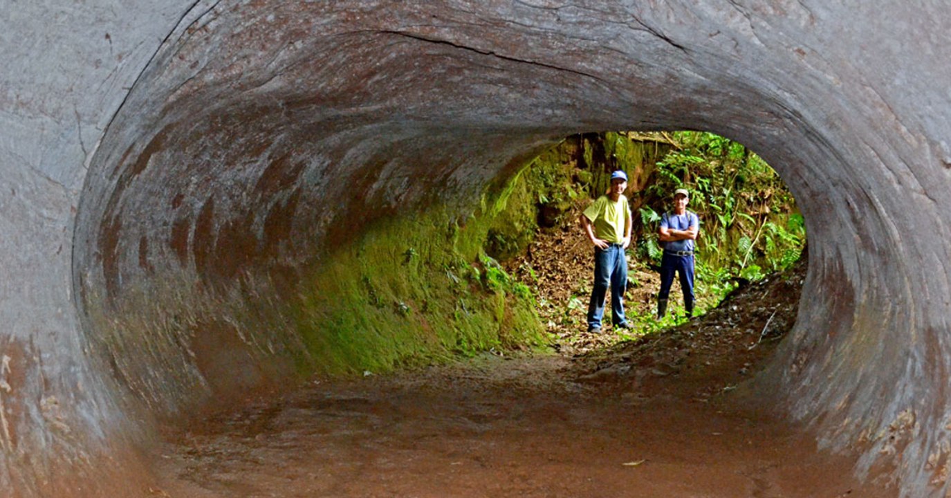 Haben riesige Kreaturen diese Monstertunnel in Brasilien gebaut?