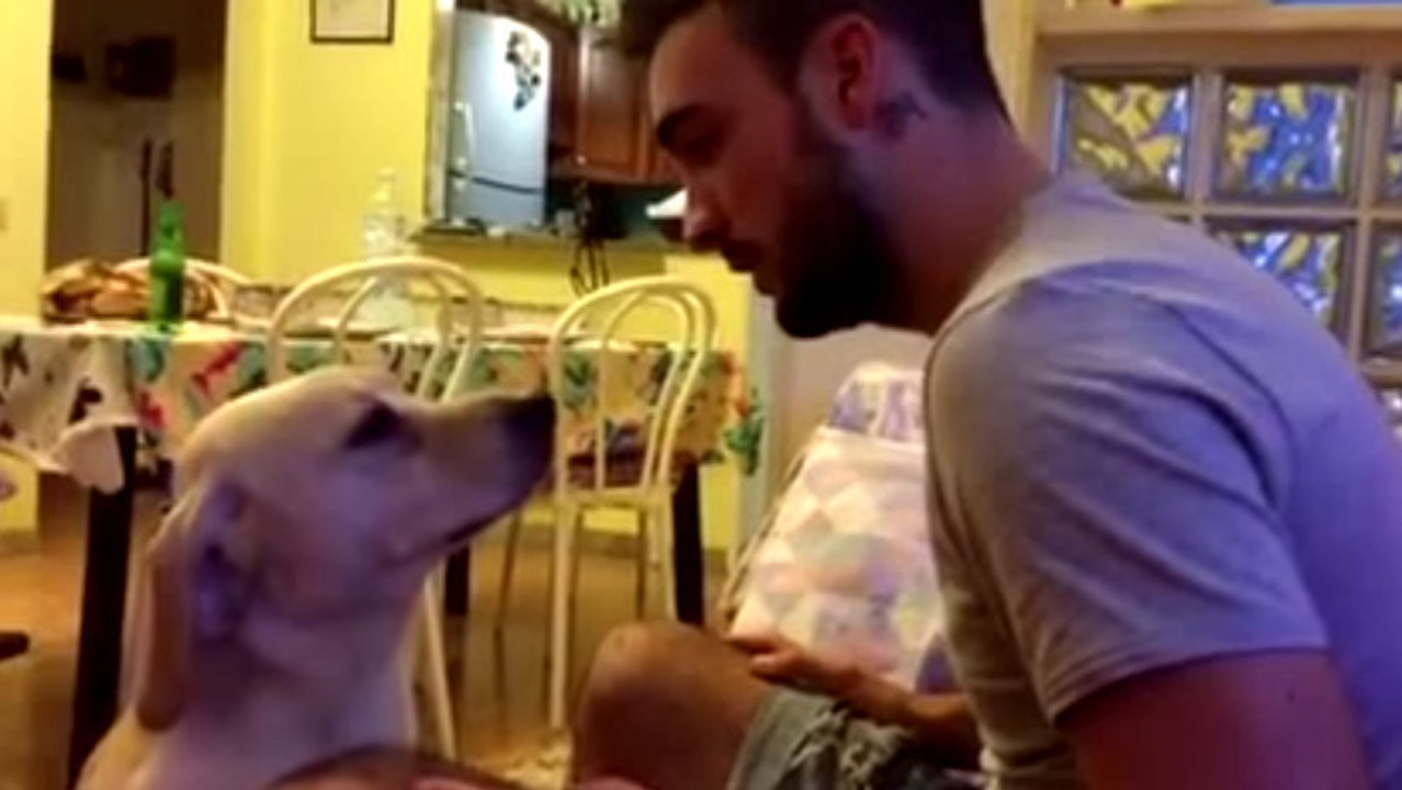 Ein Hund entschuldigt sich bei seinem Herrchen