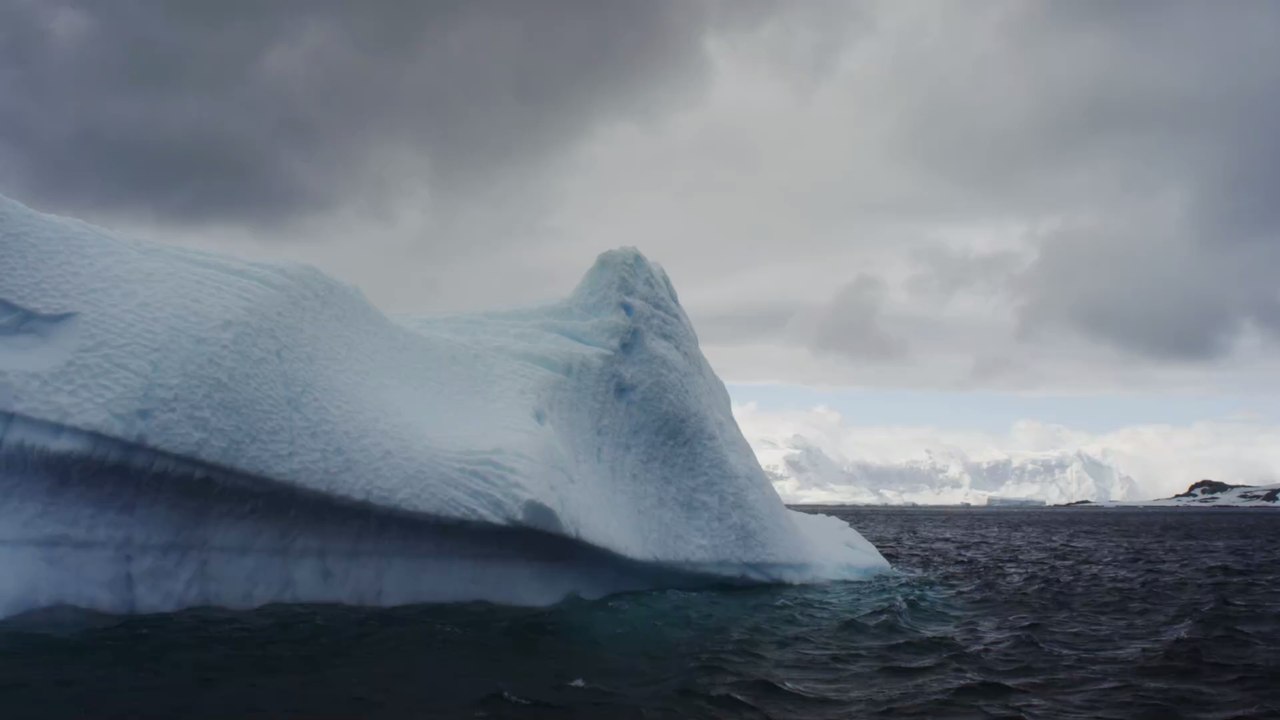 Antarctique : De nouvelles et mystérieuses formes de vie découvertes enfouies sous la glace