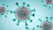 Coronavirus : Une étude suggère que le virus était présent en Italie dès septembre 2019
