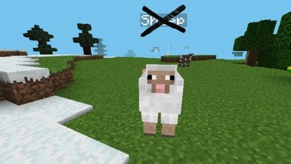 Minecraft : à quoi ressemblerait le jeu sans les noms des joueurs ?