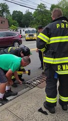 Kind People and Fire Department Rescue Kitten in Street Gutter