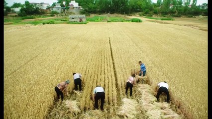 Yi Ge Cun Zhuang De Wen Xue Orijinal Fragman