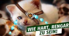 League of Legends: Jüngste Nerfs machen Rengar schwer zu schaffen