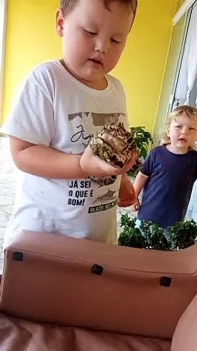 Kiddos Play with Huge Frog