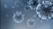Coronavirus : une mutation aurait accéléré sa vitesse de propagation