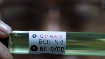 The Walking Dead: World Beyond 2. Sezon Fragman