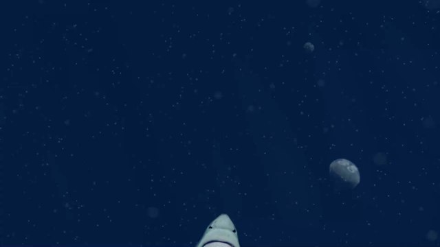 Requin : une nouvelle espèce identifiée en Polynésie française ?