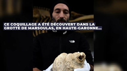 Les scientifiques analysent un coquillage et découvre qu'il s'agit d'un instrument de musique de 18 000 ans