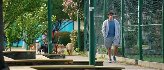 Organize İşler 2 - Teaser