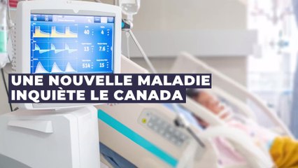 Canada : une étrange maladie du cerveau proche de Creutzfeldt-Jakob inquiète les autorités