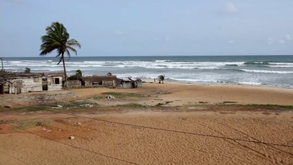 Des dauphins et des poissons meurent mystérieusement sur des plages du Ghana (PHOTOS)