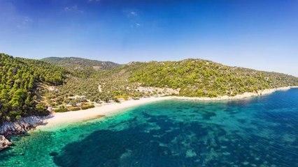 Grèce : stupeur et colère après la mort du phoque-mascotte "Kostis"