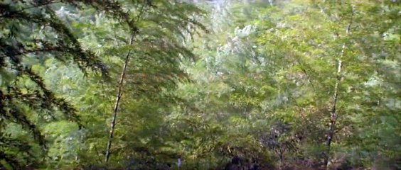 Kaplan ve Ejderha Orijinal Fragman