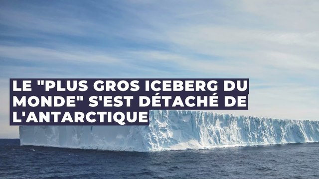 Environnement : le plus gros iceberg du monde s'est détaché de l'Antarctique