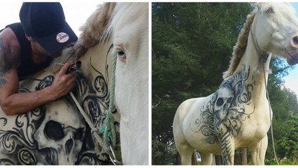 Er tätowiert das Pferd und tritt damit eine Welle der Empörung los