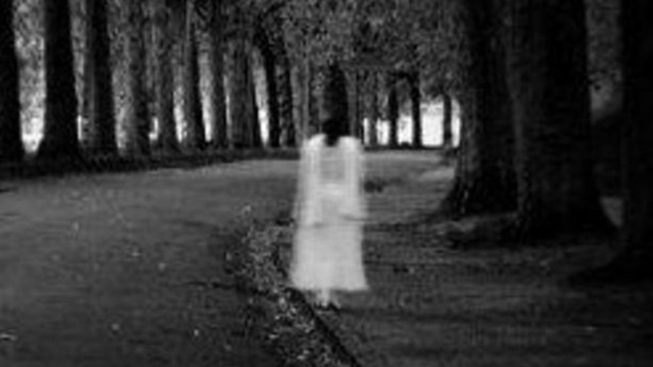 Australien: Verfluchte Straße in Sydney?