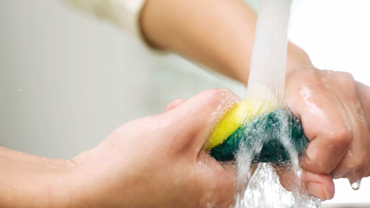 Bactéries : après combien d'utilisations faut-il changer l'éponge de cuisine ?