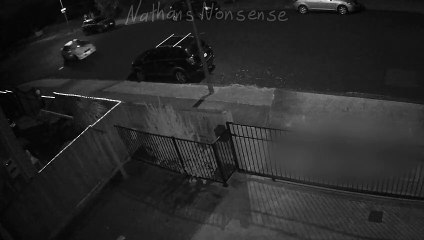 Car Crash Sends Passengers Flying Off Hood