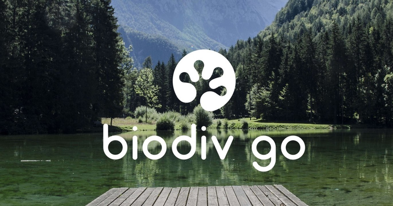 Pokémon GO: Neue Umwelt-App kopiert das Spielprinzip von Niantic