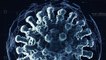 "Maladie de Lille" : un mystérieux virus inquiète le Nord de la France