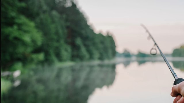 Insolite : un poisson avec des dents humaines vient d'être pêché aux États-Unis (VIDÉO)