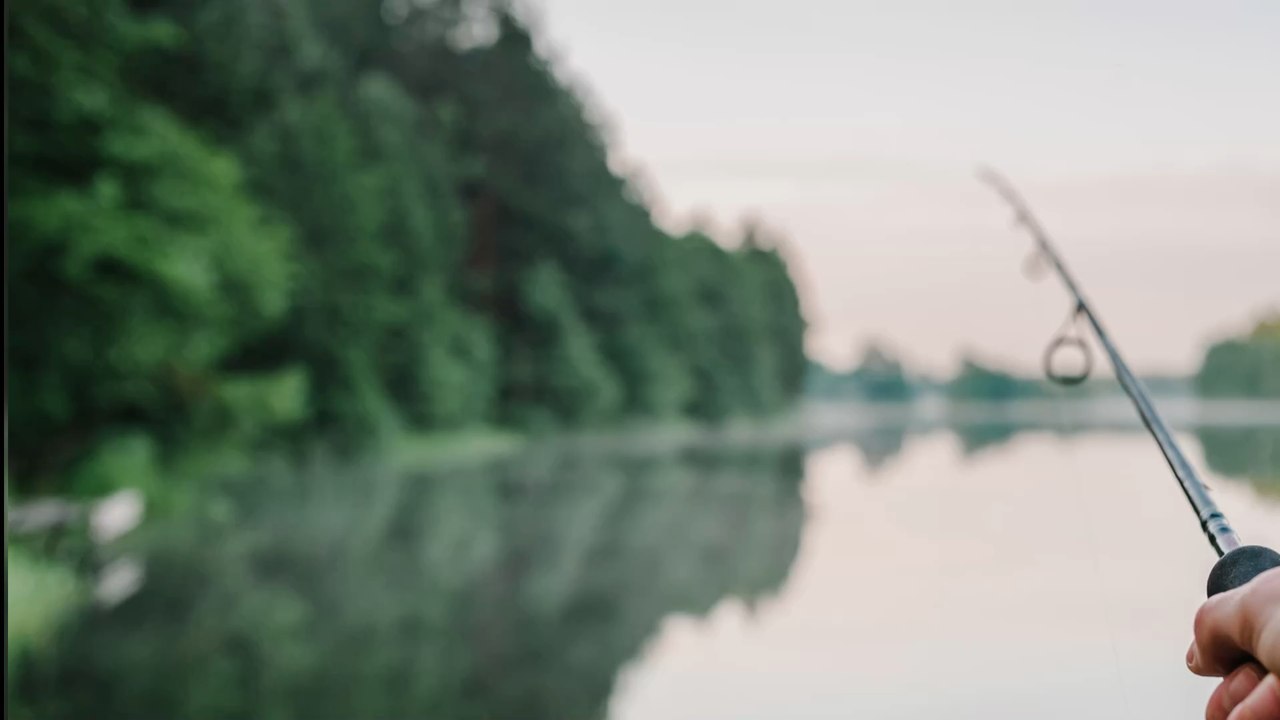 Insolite : un poisson avec des dents humaines vient d'être pêché aux États-Unis (VIDÉO)