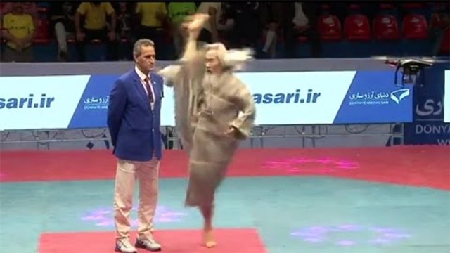 Beeindruckende Vorführung des Taekwondo-Großmeisters Shin-Chul Kang