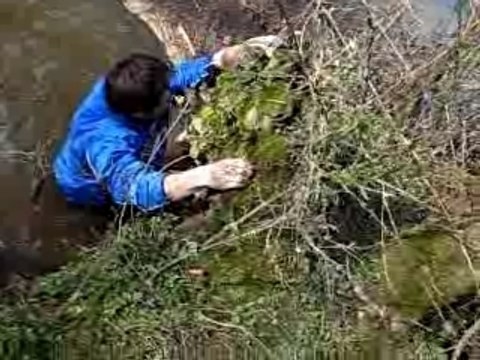 Régis tombe à l'eau