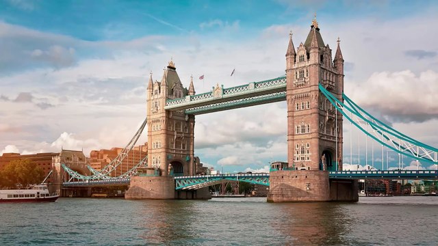 Des milliers de phoques et 3 nouvelles espèces de requins recensés dans la Tamise