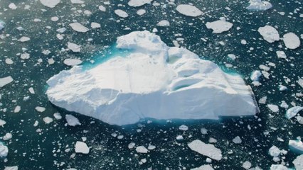 Groenland : des scientifiques découvrent l'île la plus au nord de la Terre... au hasard !