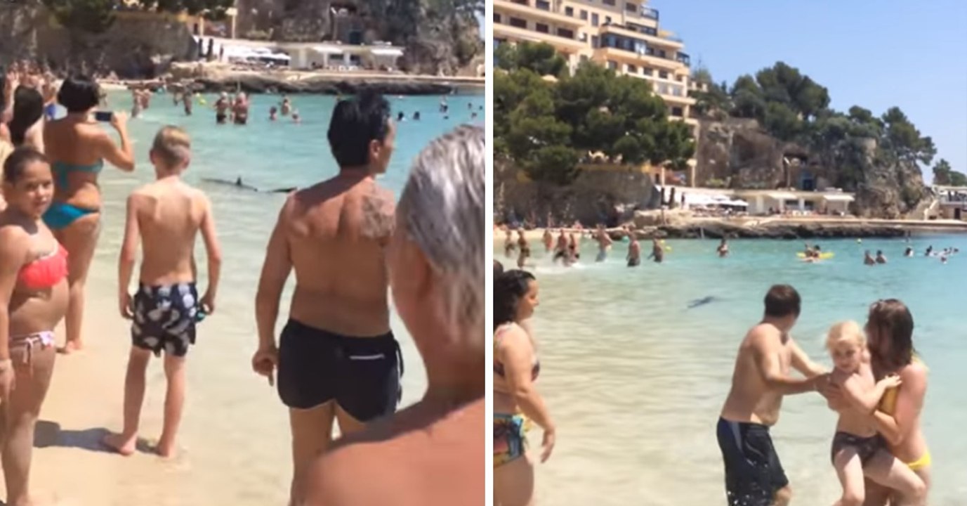 Hai bedroht Touristen am Strand von Mallorca