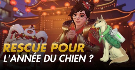Overwatch : l'année du chien arrive, découvrez ce super concept de héros canin