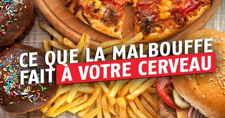 Malbouffe : voici ce que la junk food fait vraiment à votre cerveau