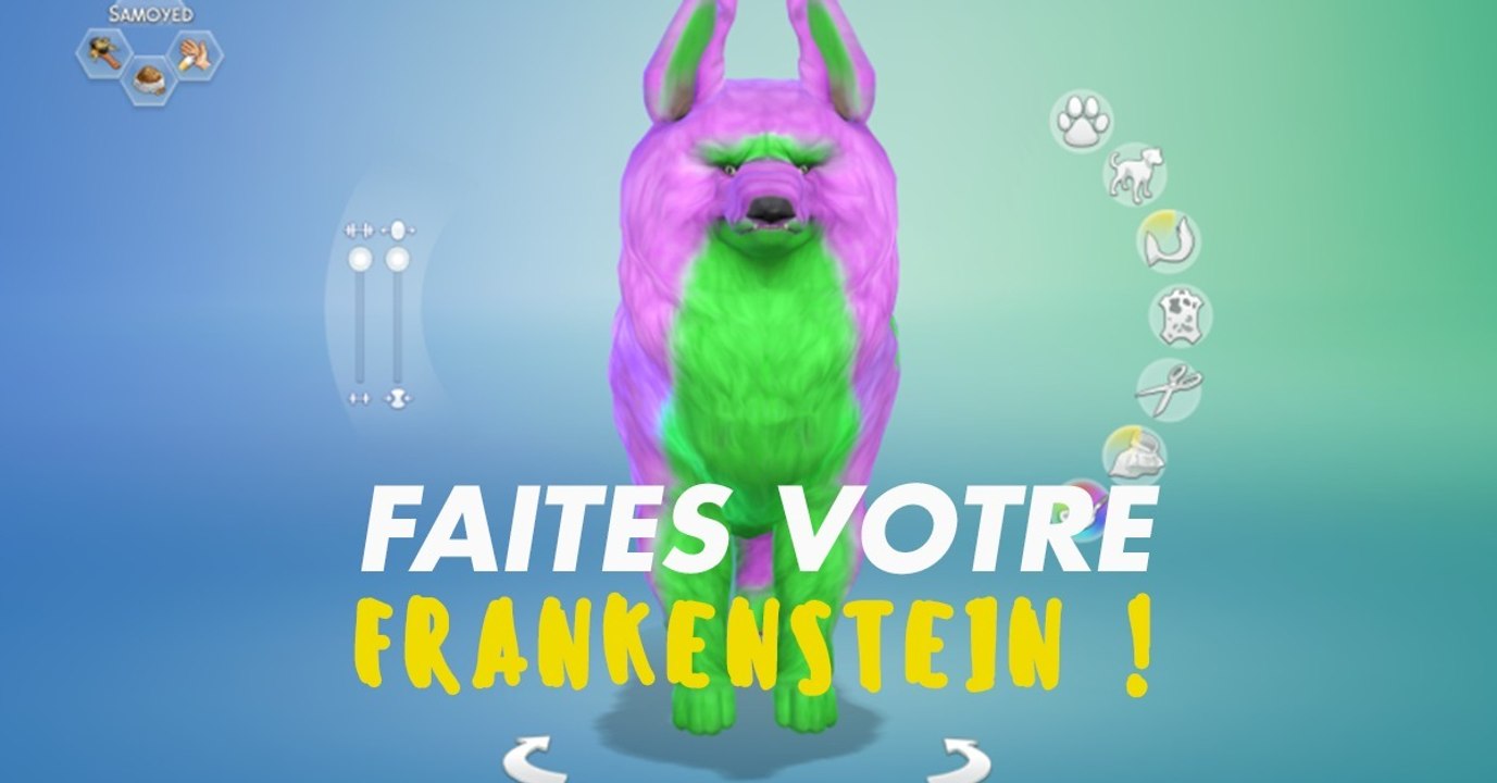 Les Sims 4 : les joueurs s'en donnent à coeur joie avec la personnalisation des animaux