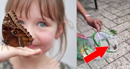 Cette petite fille était bien heureuse de libérer des papillons jusqu'à ce que l'effroyable arrive !