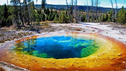 Yellowstone (Etats-Unis) : une zone de 130km² sans juridiction où le crime ne peut pas être puni