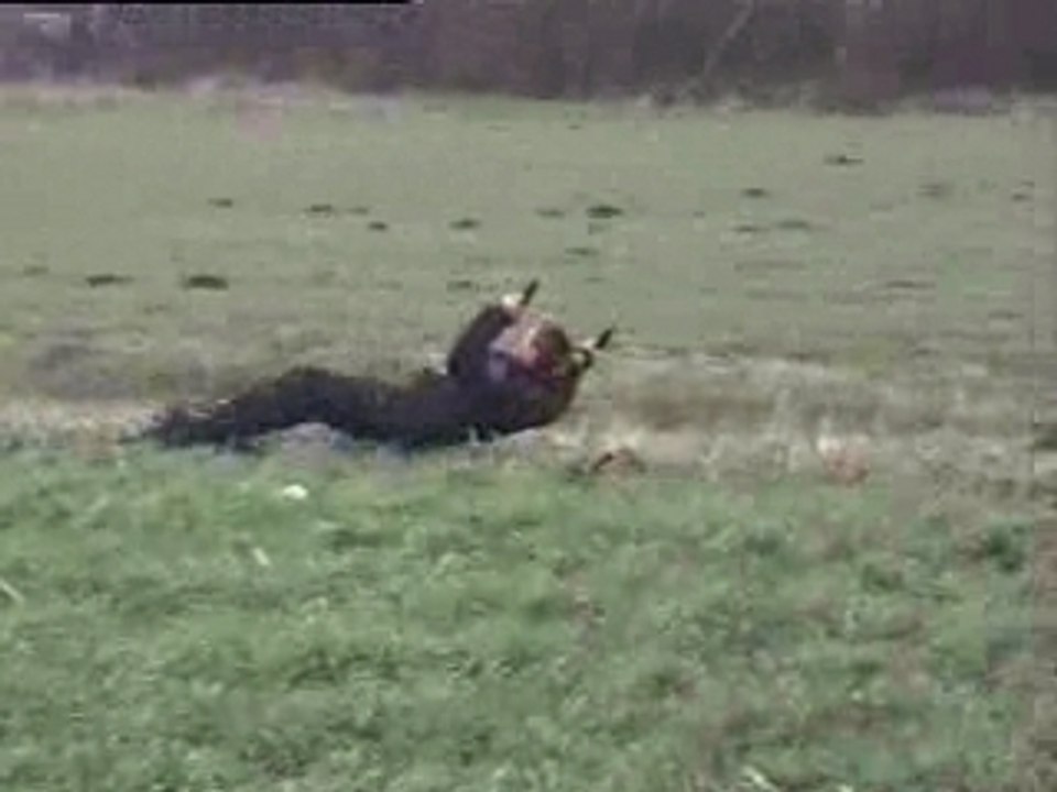 Régis fait du Cerf-Volant