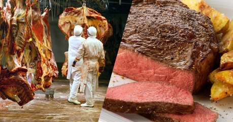 Le régime végétarien : est-ce réellement meilleur pour notre santé ?