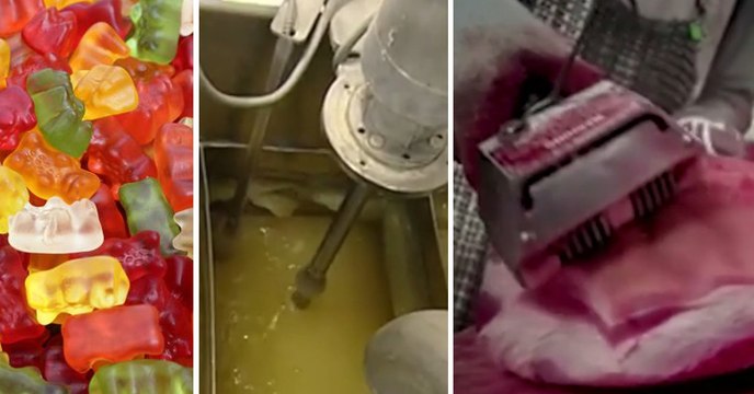 Fabrication de la gélatine : vous ne verrez plus vos bonbons préférés du même oeil