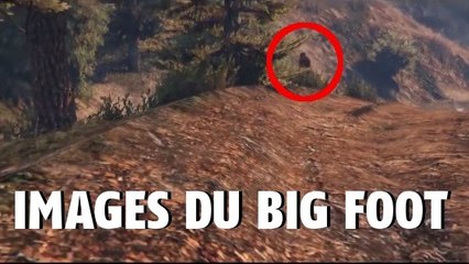 GTA 5 : un document vidéo prouve l'existence du big foot