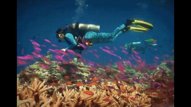 Israël: une épée de croisé retrouvée par des plongeurs