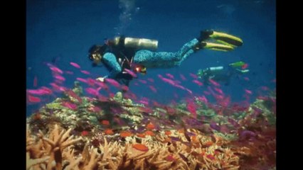 Israël: une épée de croisé retrouvée par des plongeurs